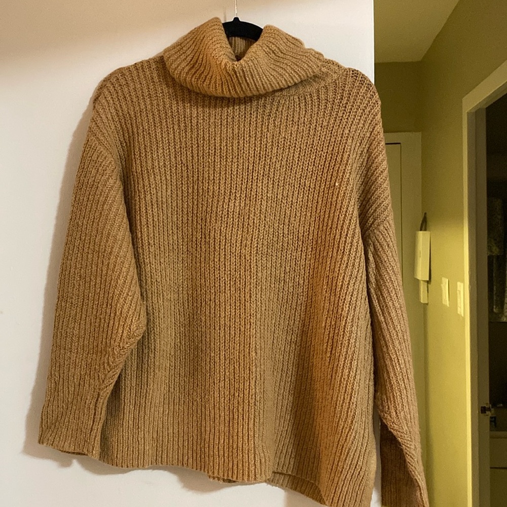 Zara Turtleneck 🤎